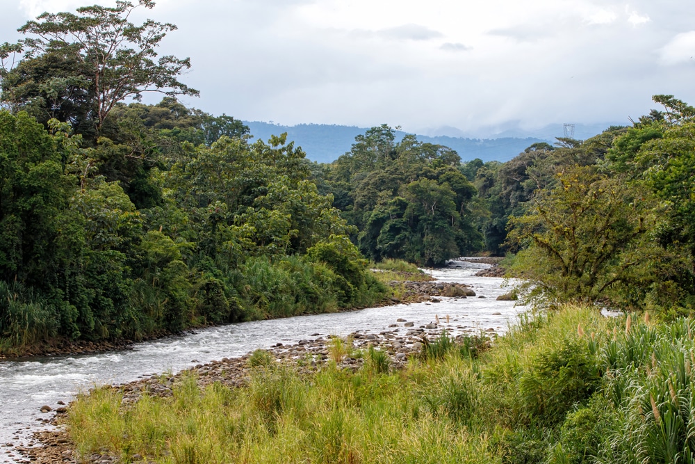 Paisaje del rio Sarapiqui en Costa Rica en la selva tropical vista desde un puente en Porto Viejo de Sarapiqui