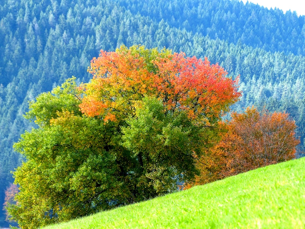 viajar en otoño a Alemania