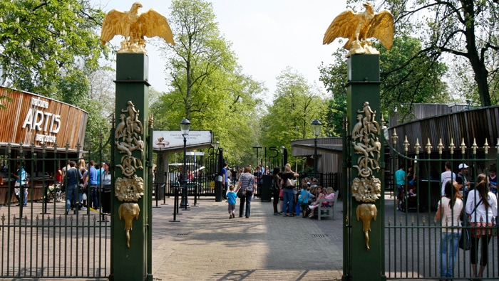 Mejores experiencias en Países Bajos: Artis Royal Zoo
