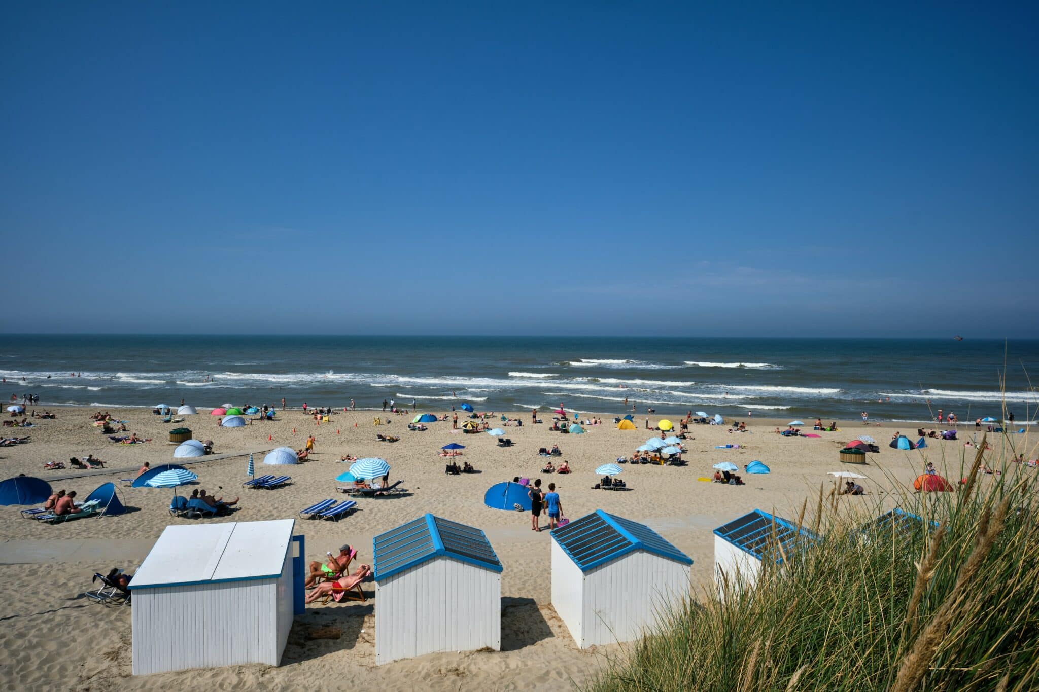 Playas de Países bajos: Texel