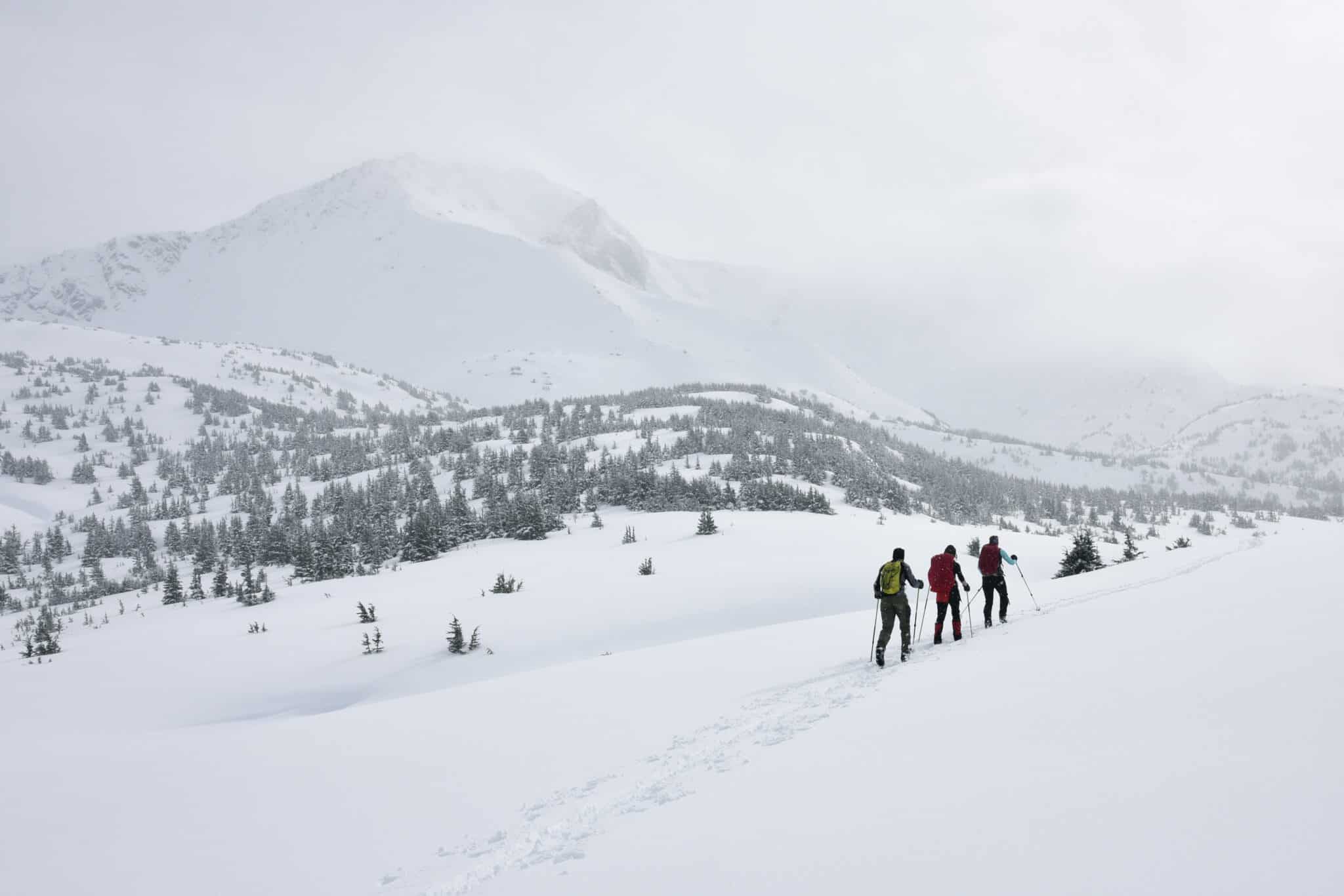 Viajar en Invierno a Países bajos: Esquiar