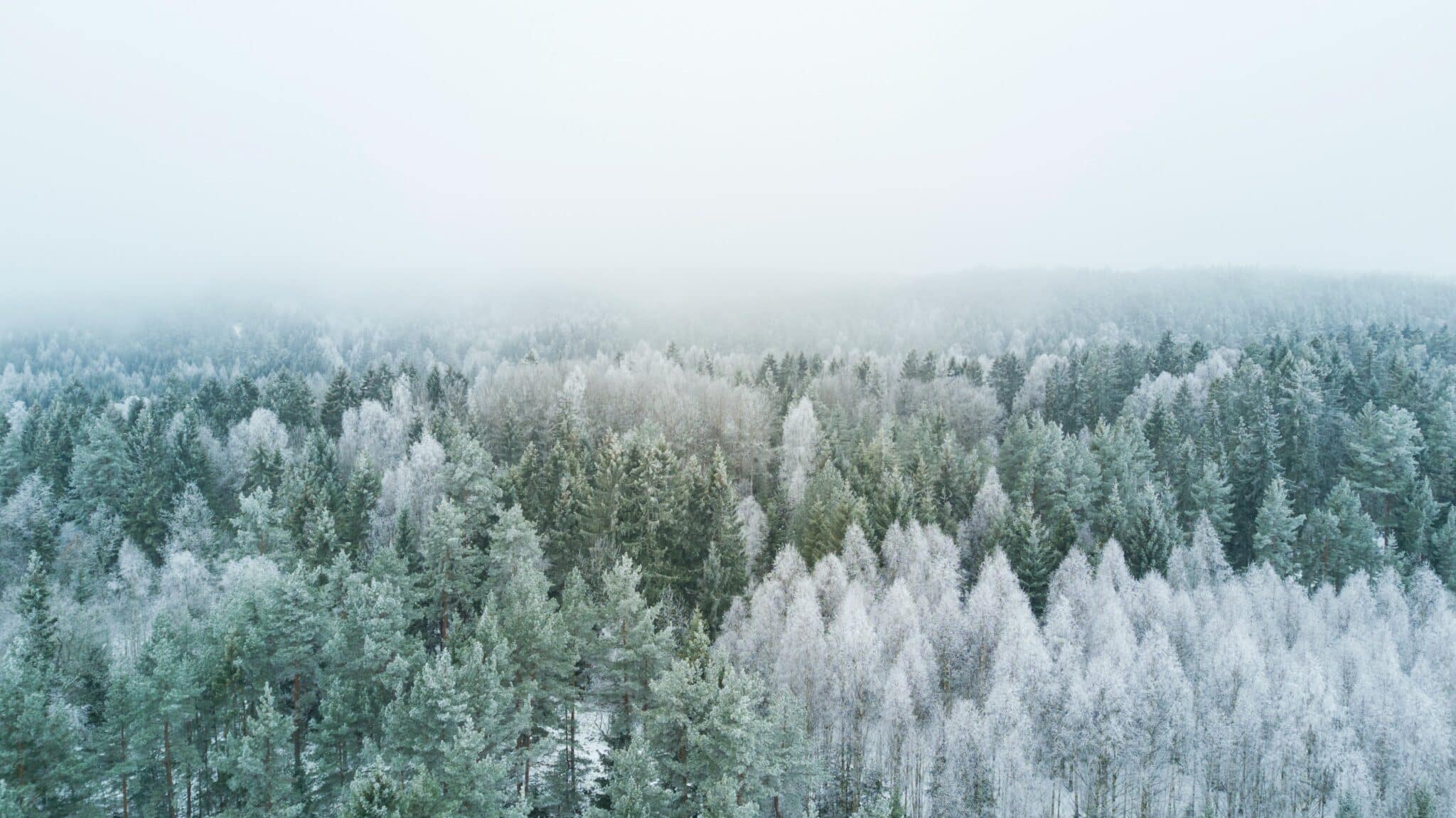 Viajar en invierno a República Checa: Invierno en República Checa