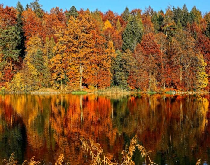Viajar en otoño a República Checa