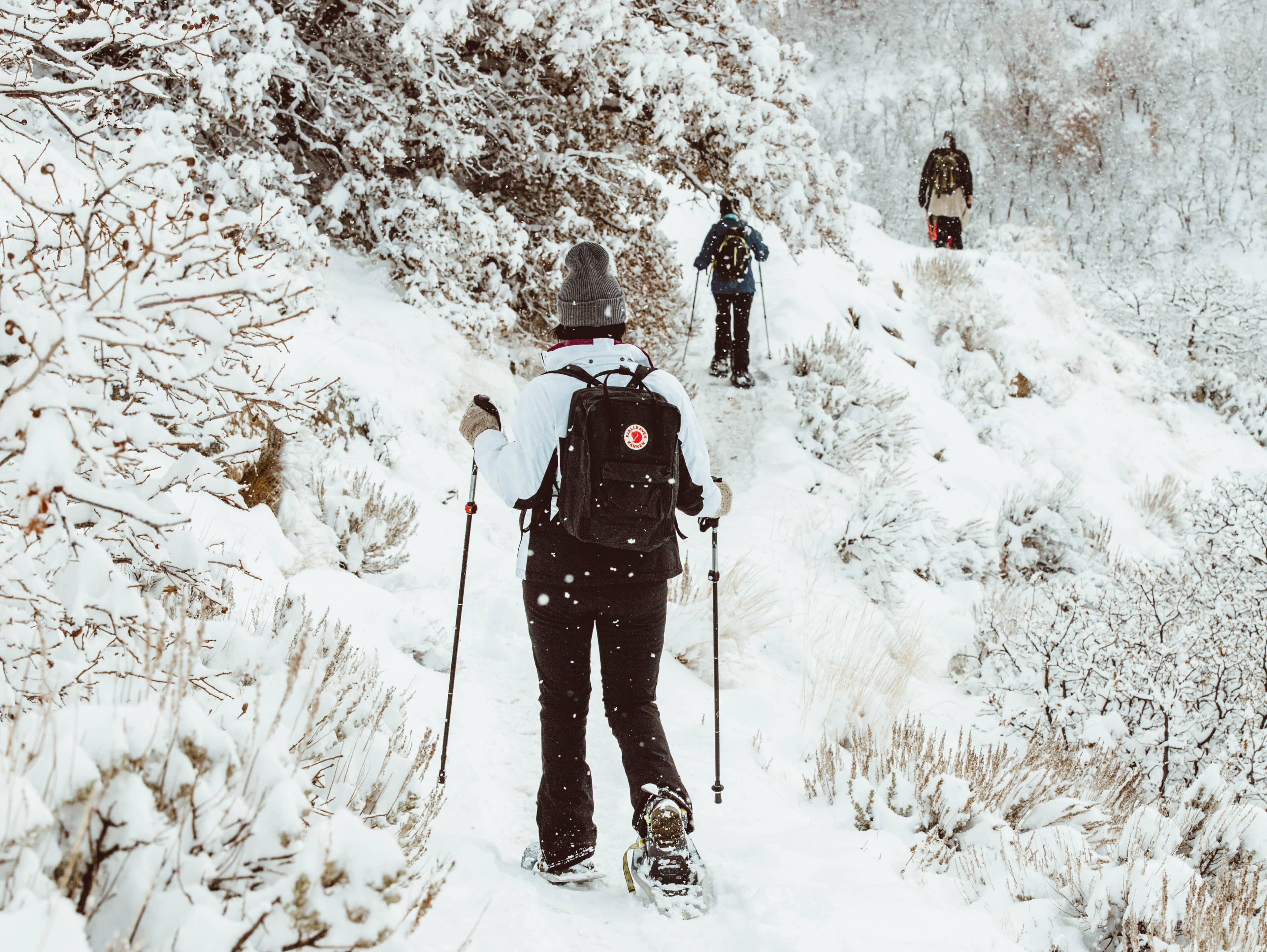Viajar en invierno a Austria: Caminatas con raquetas de nieve