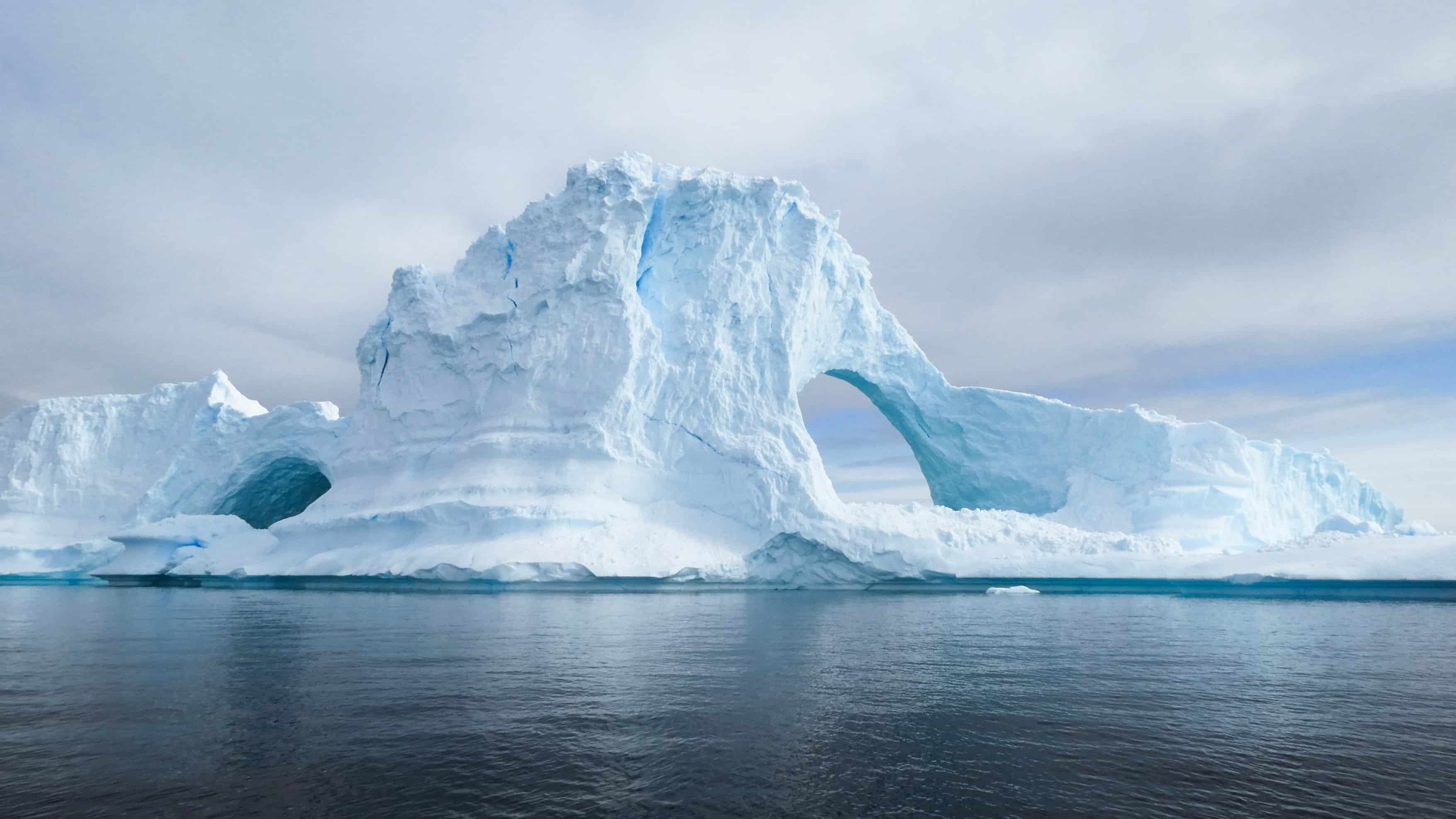Actividades de aventura en Canadá: Iceberg Alley
