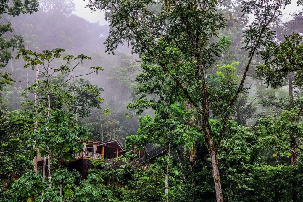 Pacuare River Lodge Jungle 2