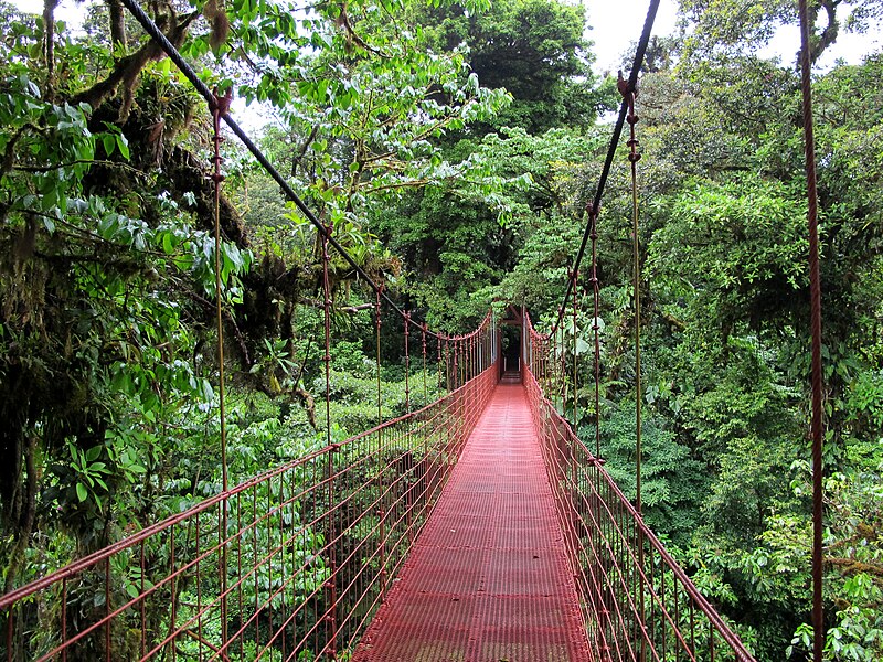 Viajando a Costa Rica: Bosque Nuboso de Monteverde