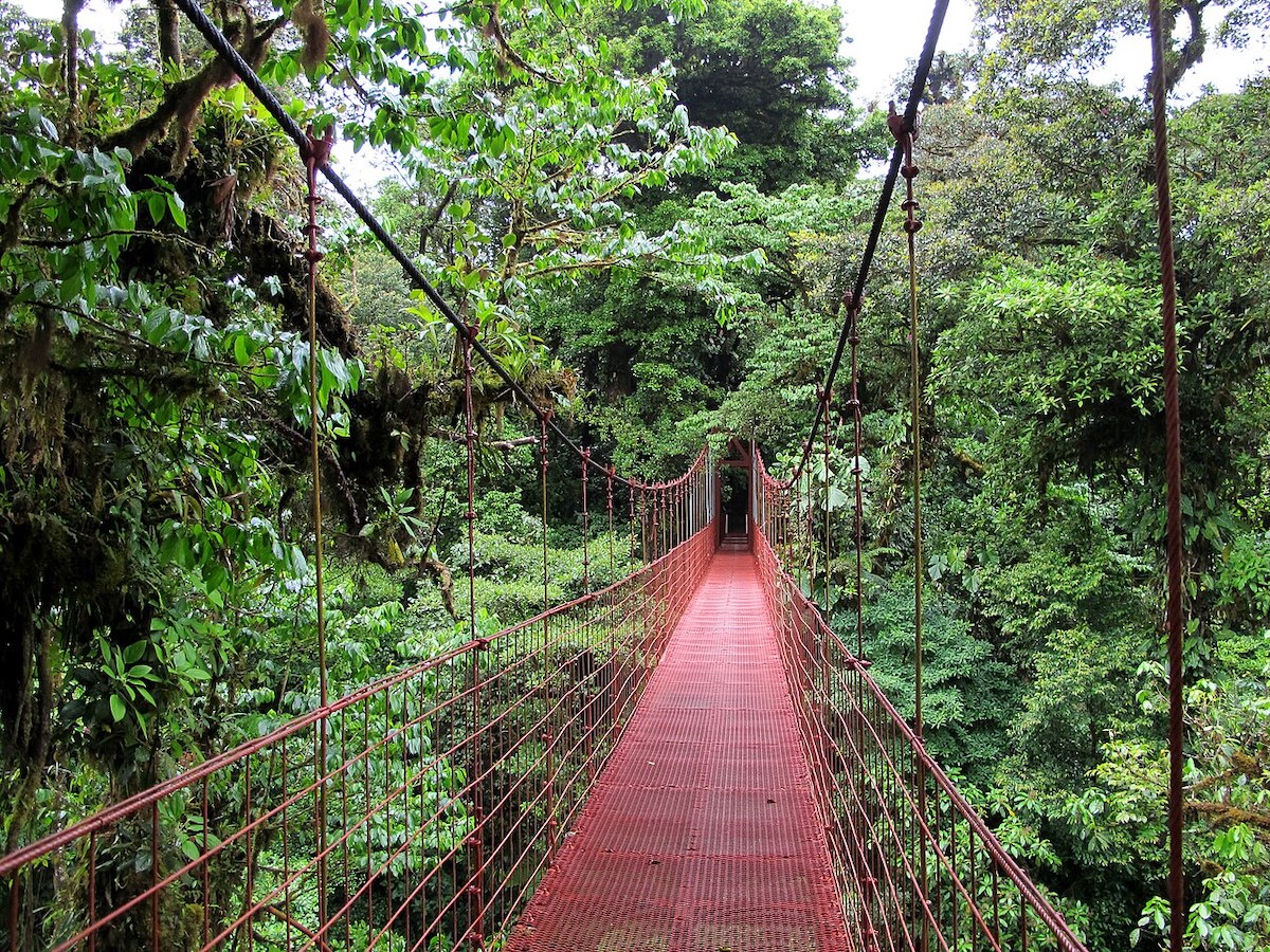 tours a Monteverde en Costa Rica