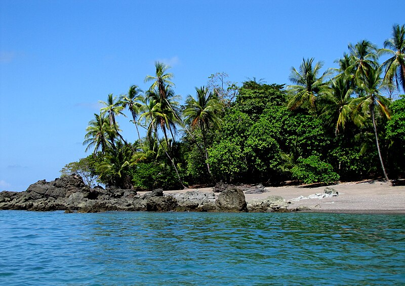 Viaje a Costa Rica todo incluido: Parque Nacional Corcovado