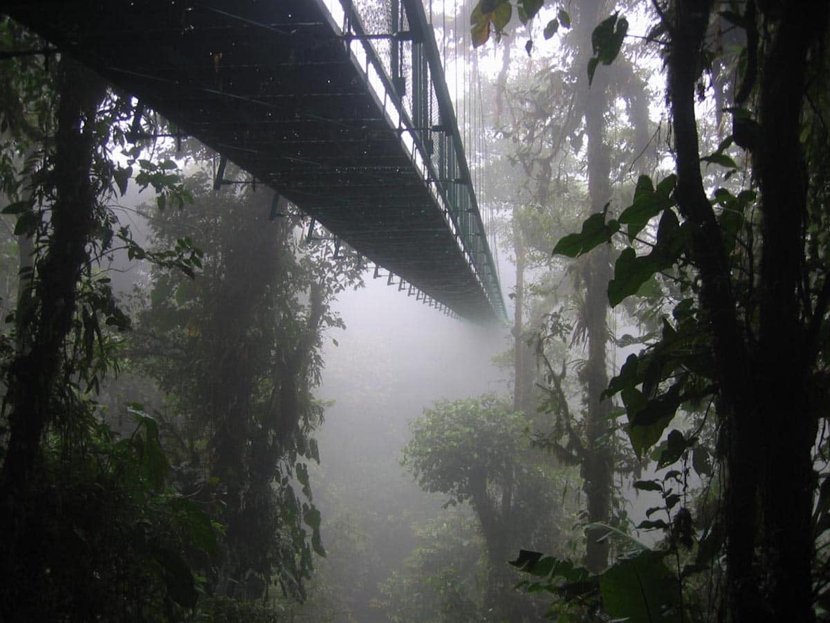 tours a Monteverde en Costa Rica