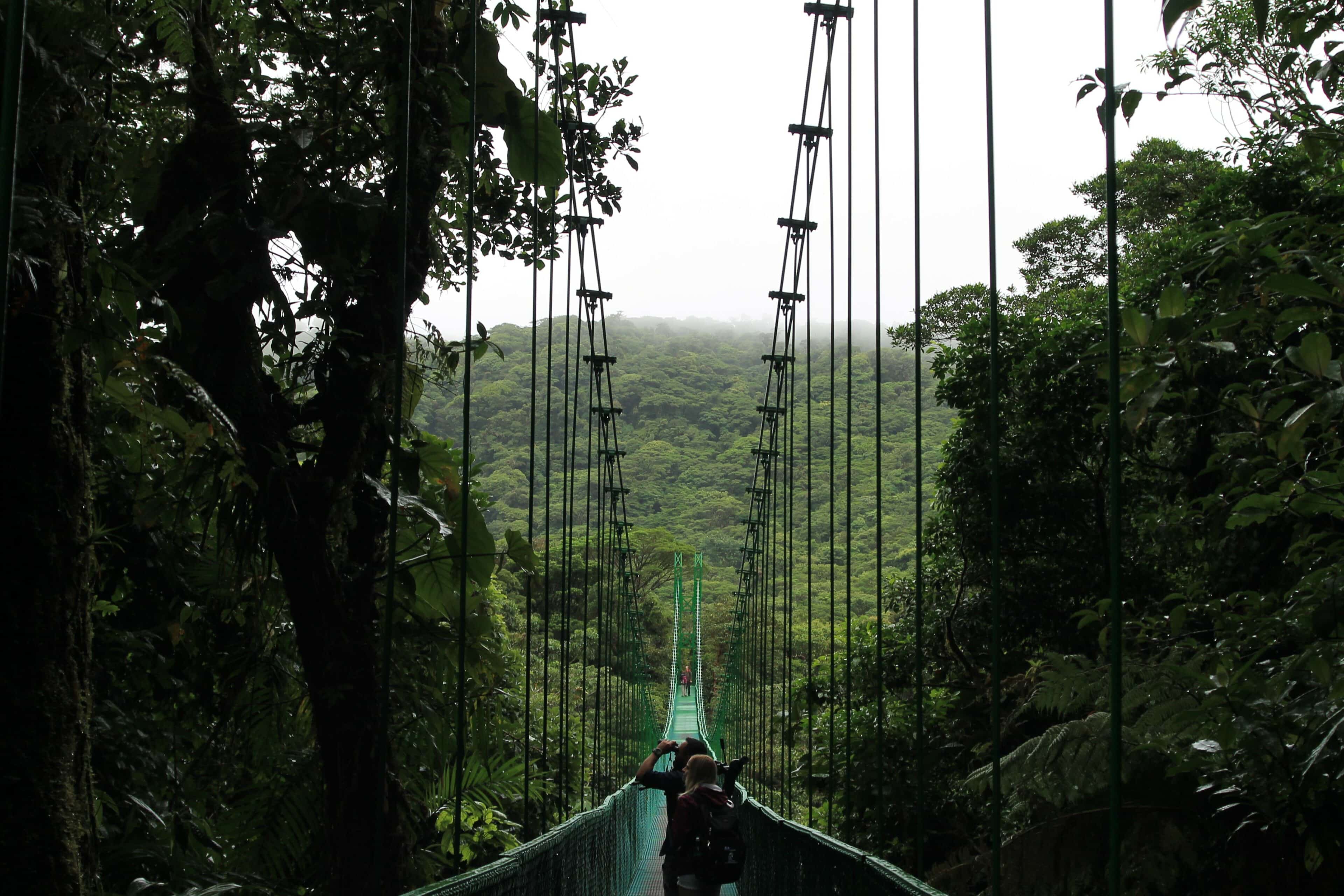 Lugares para conocer en Costa Rica: Monteverde