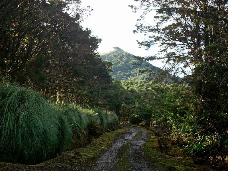Cerro Zurquí Costa Rica