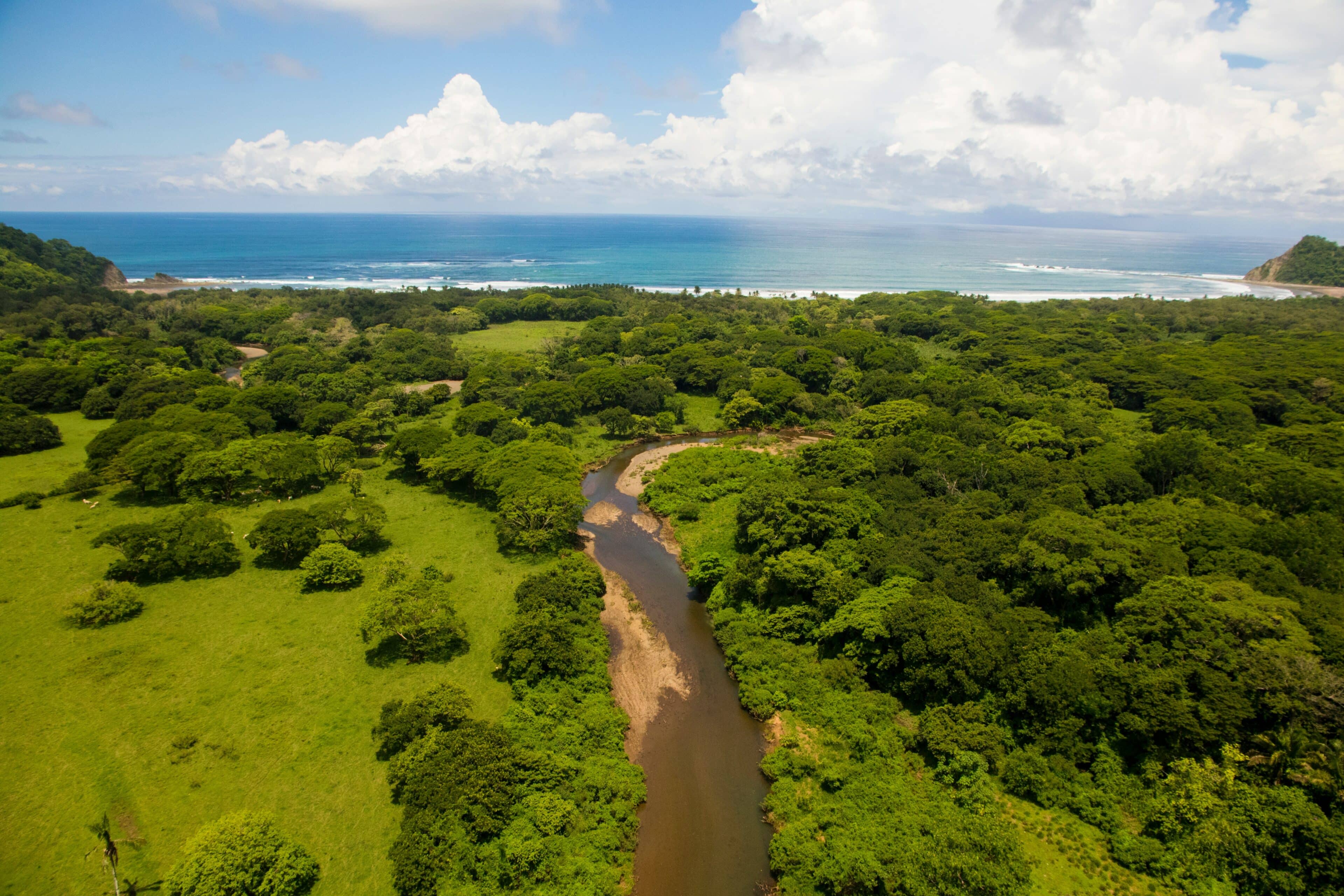 Elección de la Temporada Adecuada para tu Safari en Costa Rica