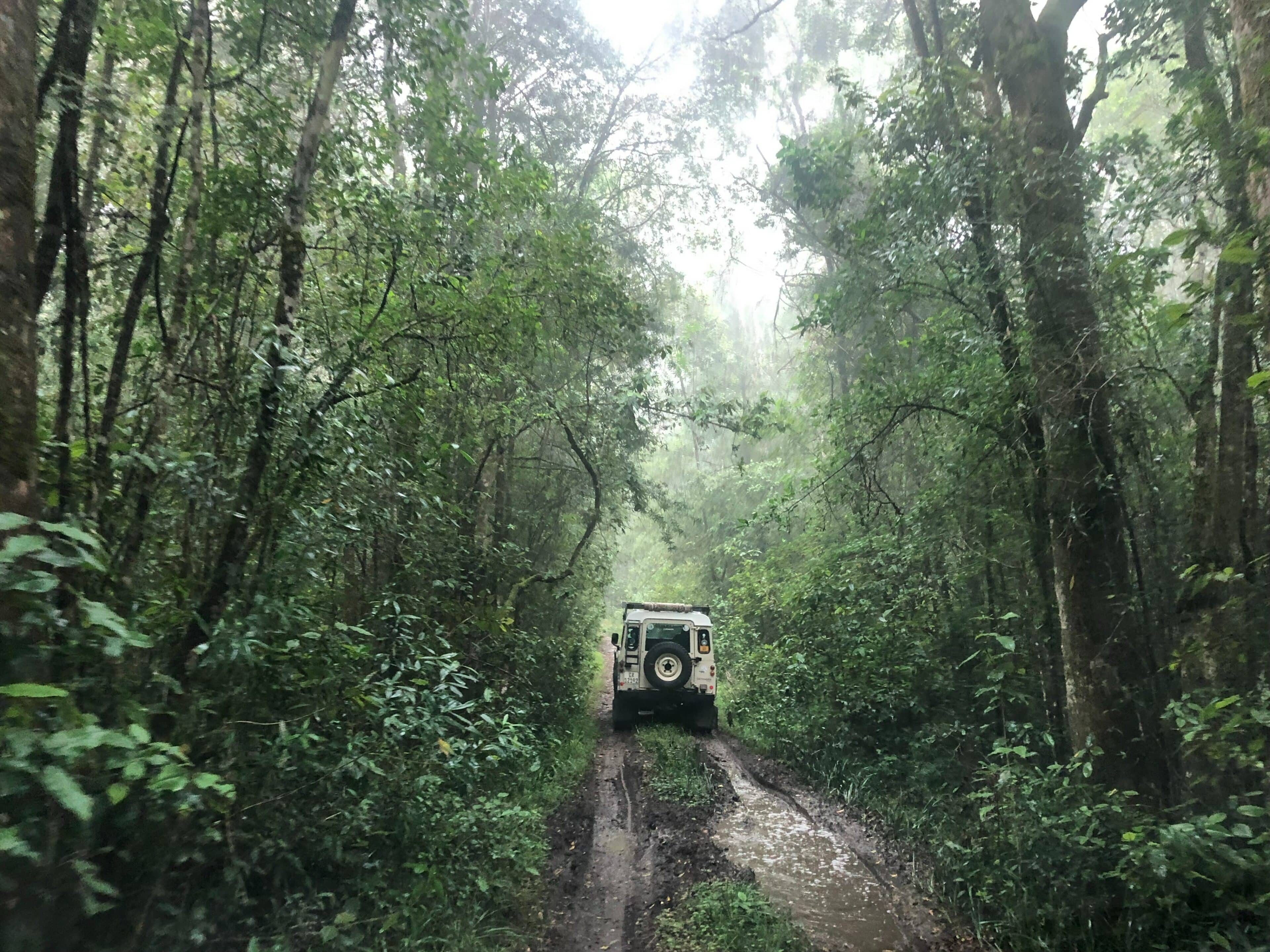Qué es un Safari en Costa Rica