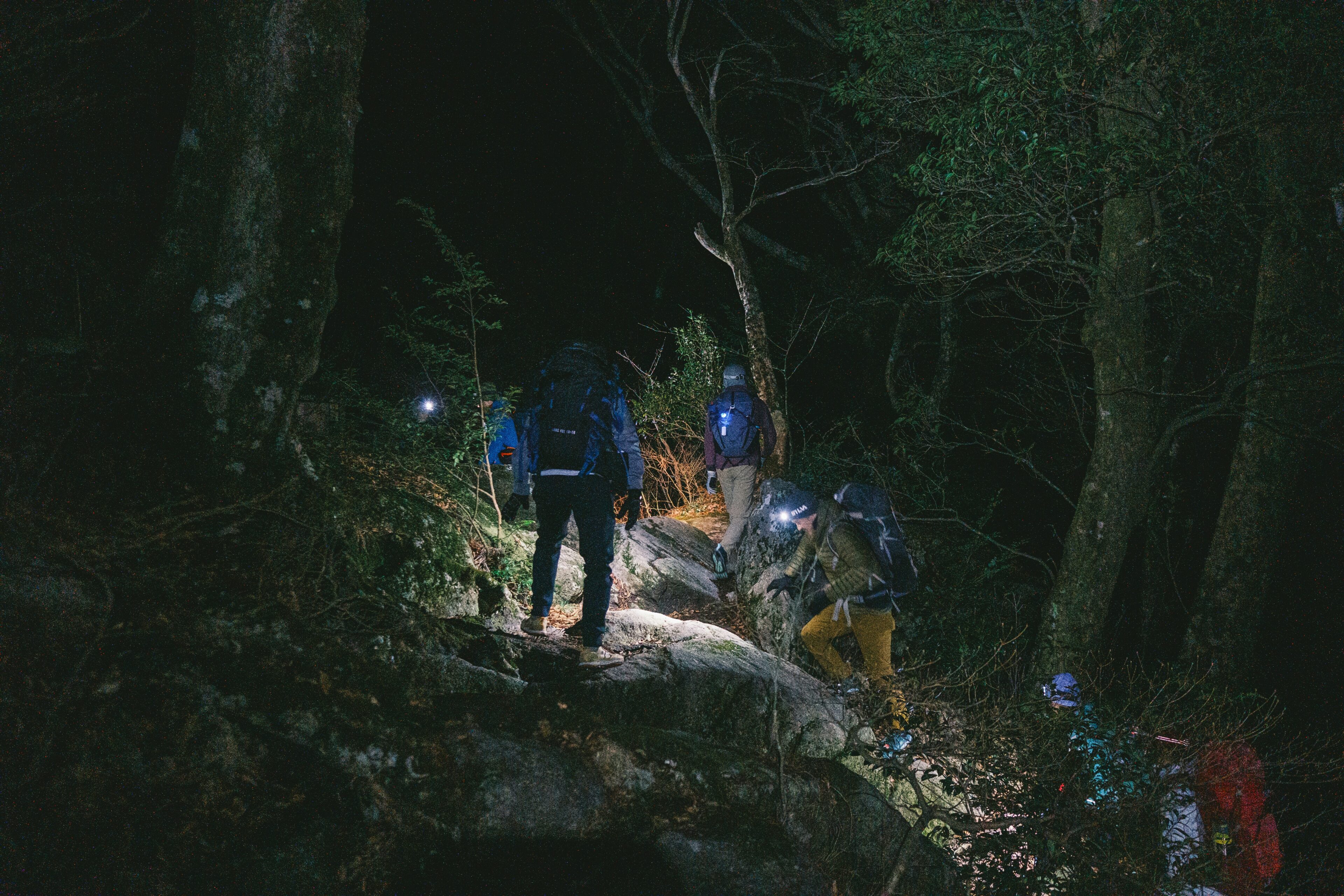 Explora la Magia Nocturna Recorridos Nocturnos en la Reserva