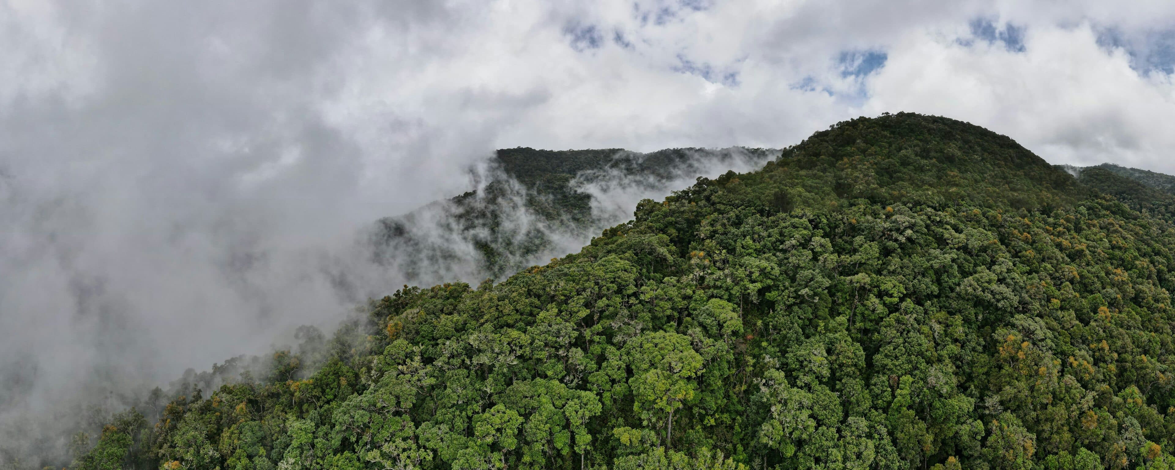 Cuál es la Mejor Época para Visitar el Parque Nacional Los Quetzales