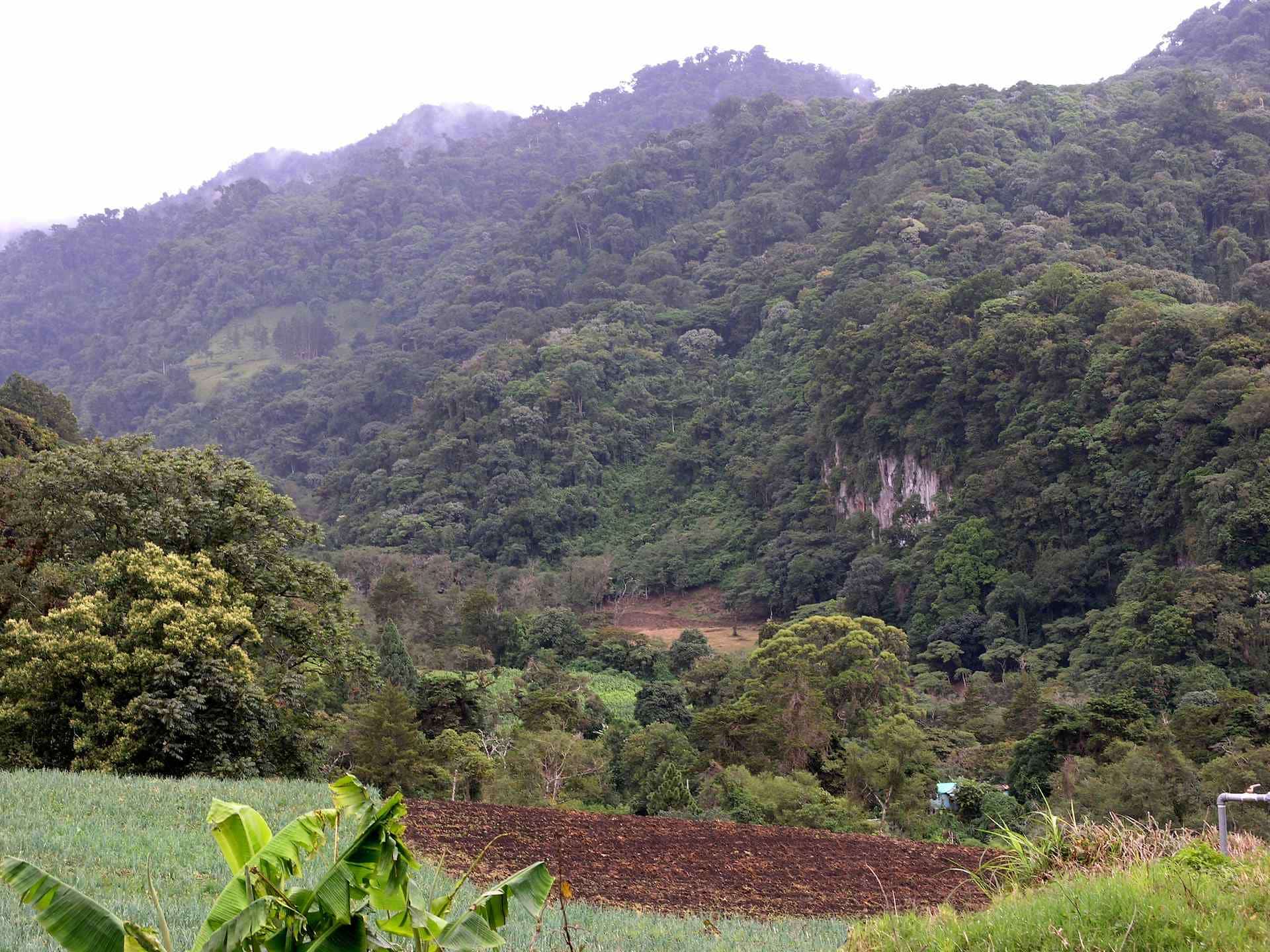 Es Necesario Realizar Reservas previas para Visitar el Parque Nacional Los Quetzales