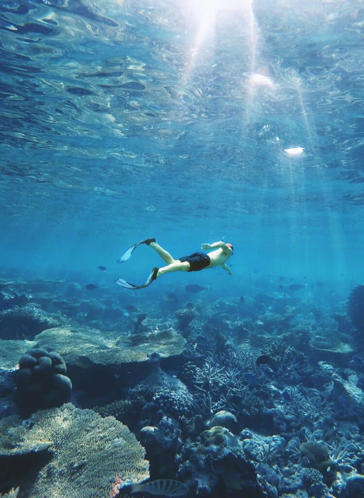 Diving in Isla del Coco