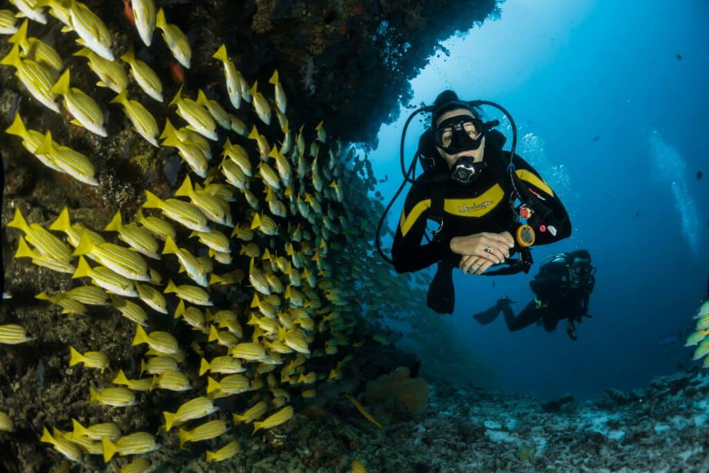 Diving in Isla del Coco 