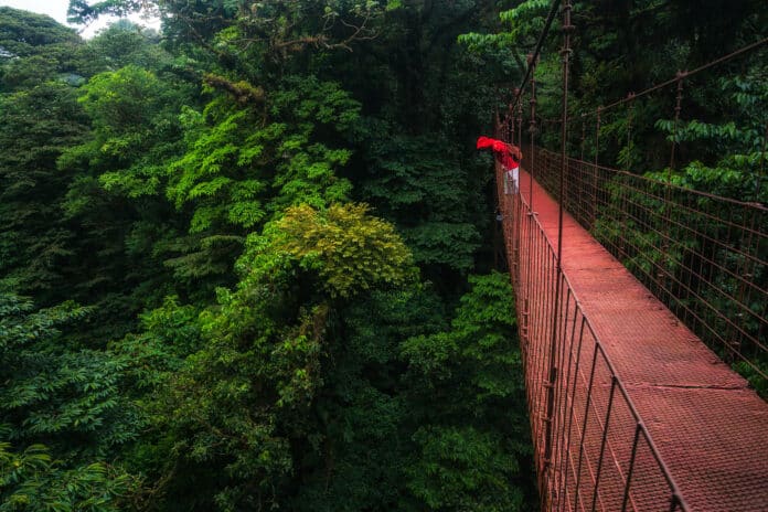 Practical Tips Making the Most of Your Visit to Monteverde
