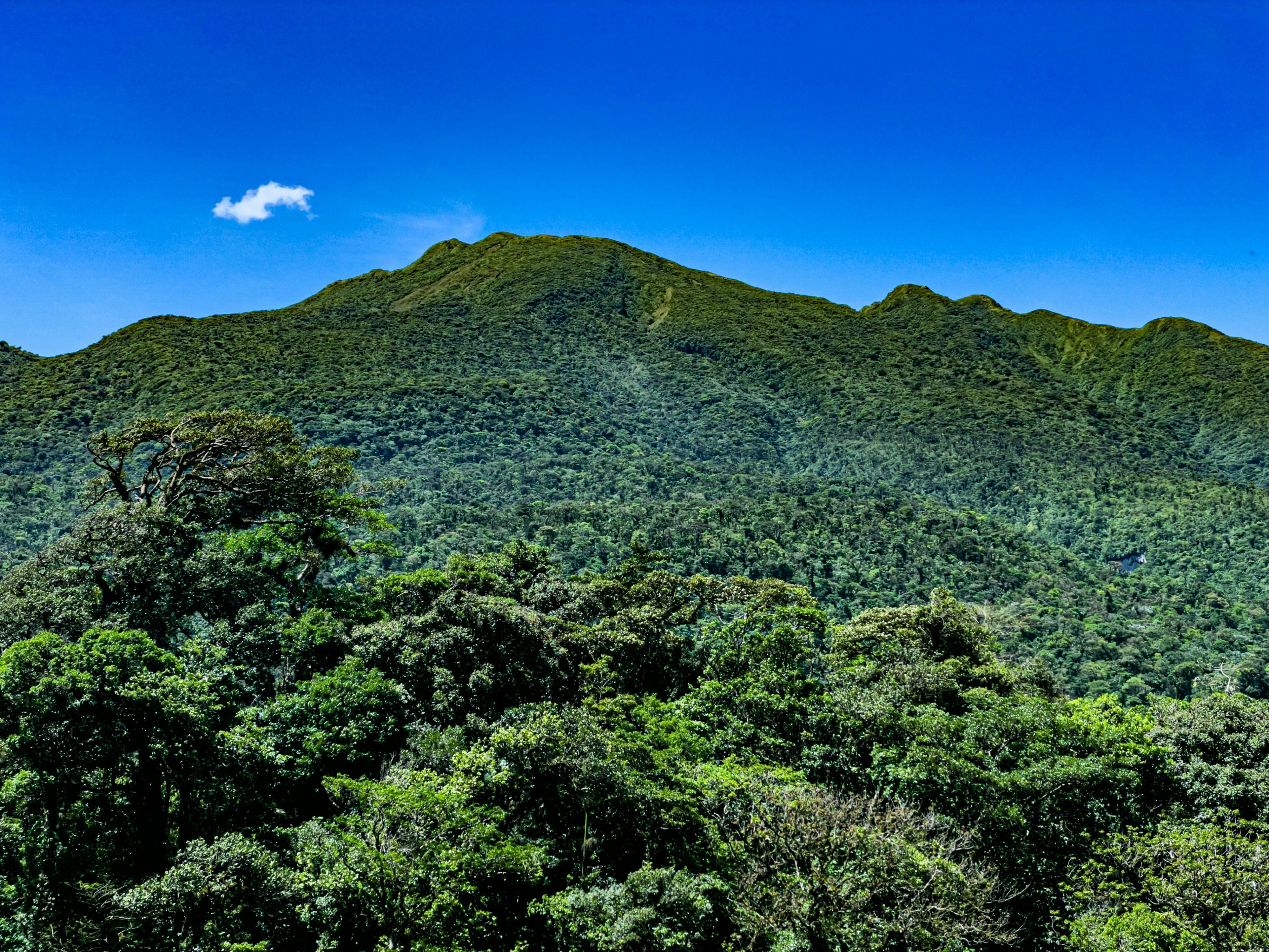 The Importance of Tenorio Volcano National Park