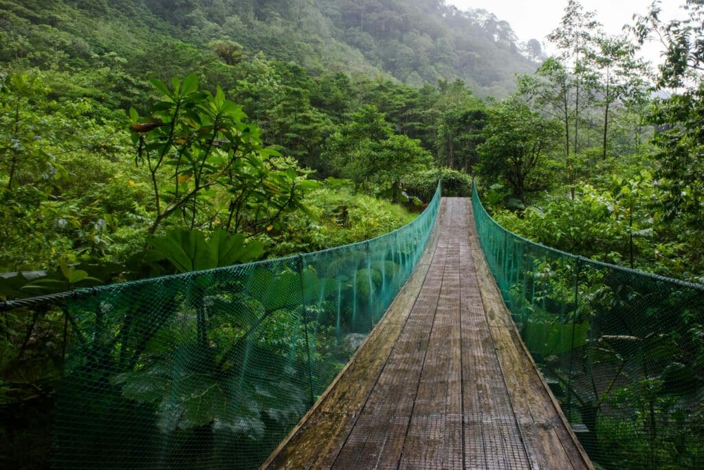 Cahuita National Park Costa Rica