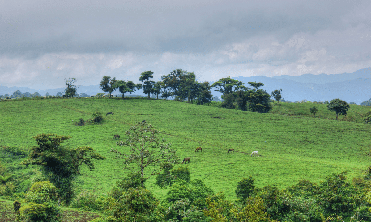 Moravia de Costa Rica