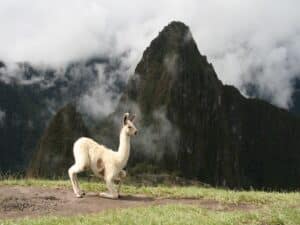 viajes a Perú baratos